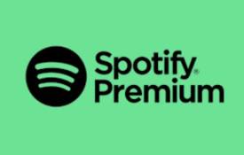 Características Principales De Spotify Premium APK