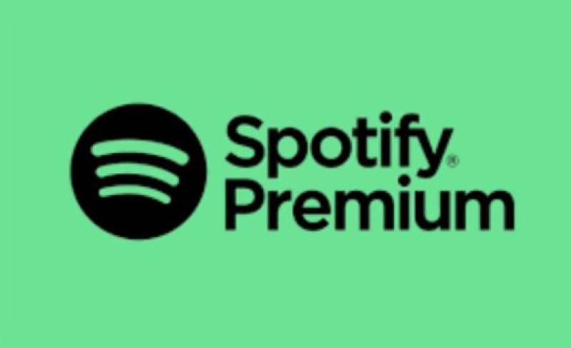 Características Principales De Spotify Premium APK